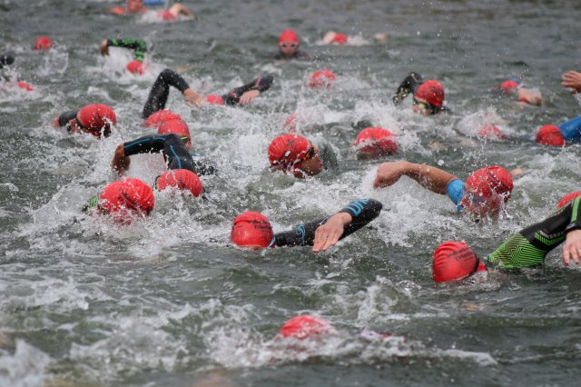 Das Schwimmen